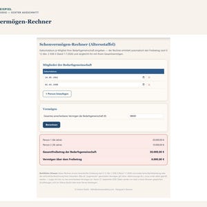 Schonvermögen-Check 2026 PDF Deutsch | Bürgergeld Grundsicherung Altersstaffel Rechner image 7