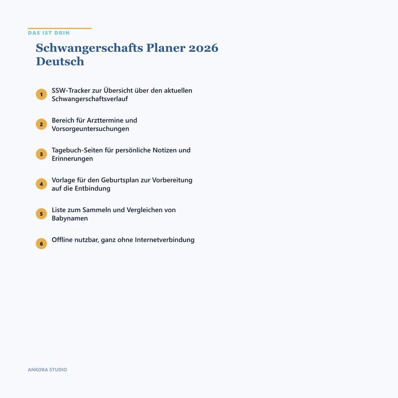 2026 Schwangerschafts-Planer | HTML-Tool, SSW-Tracker, Geburtsplan (Sofort-Download) Bild 3