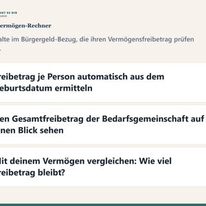 Schonvermögen-Check 2026 PDF Deutsch | Bürgergeld Grundsicherung Altersstaffel Rechner image 3