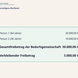 Schonvermögen-Check 2026 PDF Deutsch | Bürgergeld Grundsicherung Altersstaffel Rechner image 5