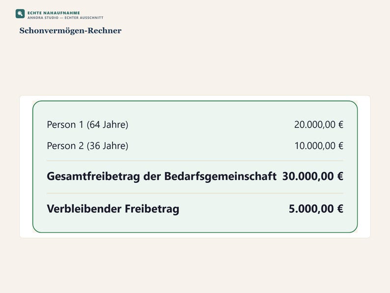 Schonvermögen-Check 2026 PDF Deutsch | Bürgergeld Grundsicherung Altersstaffel Rechner image 5
