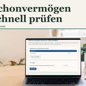 Schonvermögen-Check 2026 PDF Deutsch | Bürgergeld Grundsicherung Altersstaffel Rechner image 1