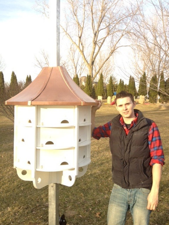 Purple Martin House