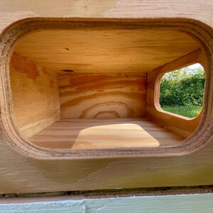 Pu&ograve; includere: Una scatola di legno con un'apertura rettangolare e una finestra pi&ugrave; piccola e arrotondata. L'interno &egrave; visibile, mostrando la venatura naturale del legno. La finestra rivela una vista del fogliame verde e della luce solare.