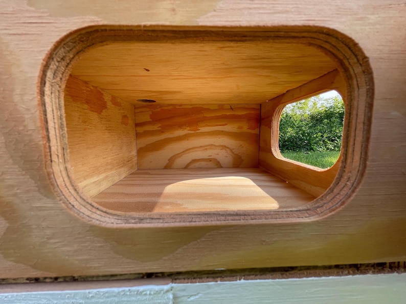 Pu&ograve; includere: Una scatola di legno con un'apertura rettangolare e una finestra pi&ugrave; piccola e arrotondata. L'interno &egrave; visibile, mostrando la venatura naturale del legno. La finestra rivela una vista del fogliame verde e della luce solare.