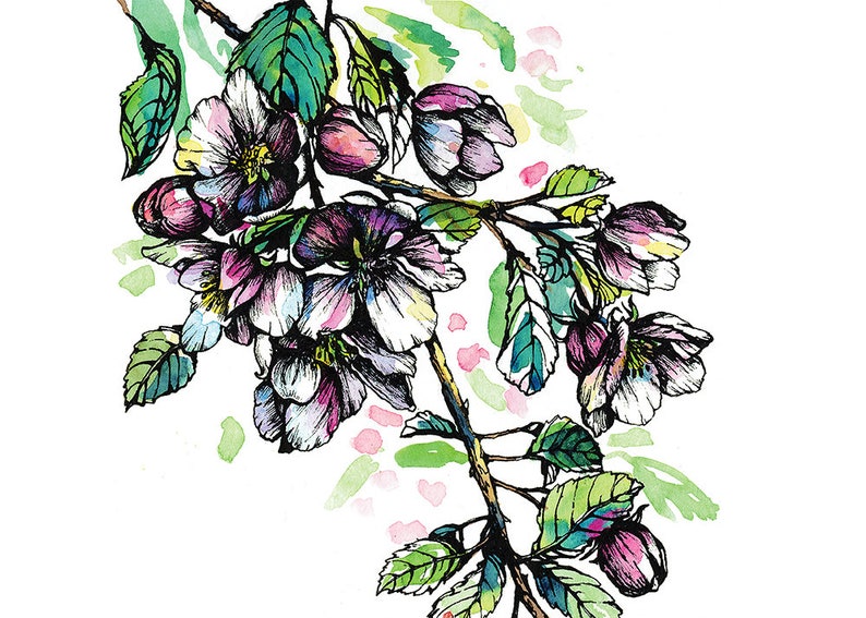 Apple Tree Flower Blossom Art Print Watercolor Print Pink Etsy Apple Tree Flower Blossom Art Print Watercolor Print Pink Etsy