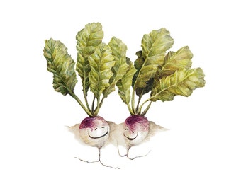 8x10 Print of Watercolor Turnip Twins Painting