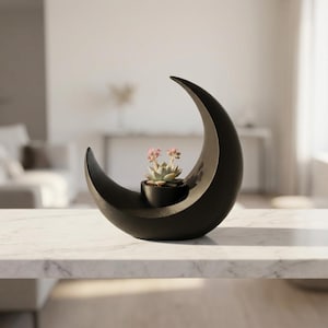 May include: A matte black crescent moon-shaped planter featuring a small, integrated circular pot at its centre. A light green succulent with delicate pink-tipped leaves is planted inside the small container, resting within the curve of the moon.