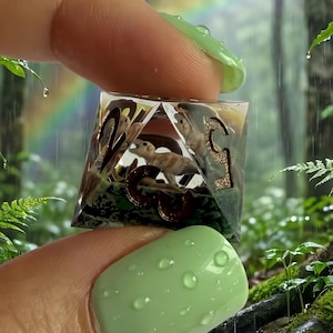 Handmade Resin Dice Set: 3D Inclusions, 7-Piece, Sharp Edge, Dinosaur Dice