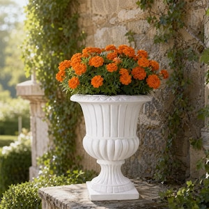 May include: A white pedestal planter with a fluted bowl and square base, filled with a dense cluster of vibrant orange marigold flowers. The planter features a classic urn shape with vertical ridges and a wide, flared rim, standing upright.