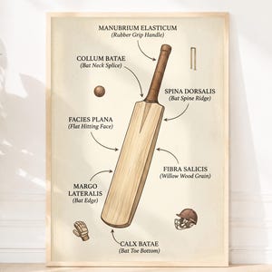 May include: A framed anatomical-style poster of a cricket bat with labels including Manubrium Elasticum, Collum Batae, Spina Dorsalis, Facies Plana, Fibra Salicis, Margo Lateralis, and Calx Batae. The print features a cricket ball, wicket, glove, and helmet.