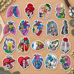 May include: A collection of twenty anatomical stickers featuring human organs and skeletal structures adorned with colorful floral patterns. The set includes illustrations of lungs, hearts, a brain, a skull, a tooth, a spine, and a rib cage, all with white borders.