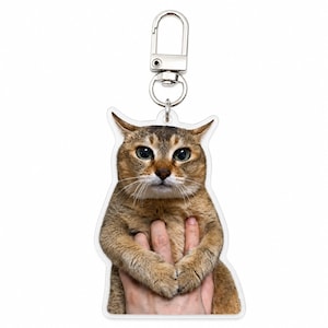 Mei Mei Cat Keychain, Cat Meme Acrylic Keychain, Famous Instagram Funny Cat Charm, Cute Kitty Bag Charm, Tole Tole Keyring, Cat Lover Gift