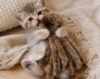 Interactieve kattenspeelstok, pluche octopus kitten speeltje, anti-verveling kattenspeeltje voor binnen, zacht huisdier speeltje voor katten, kraamcadeau voor een puppy
