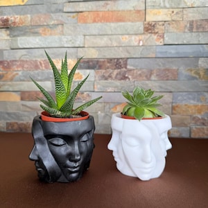 Puede incluir: Dos macetas con forma de rostros humanos, una en negro mate y otra en blanco mate, cada una con múltiples rasgos faciales esculpidos. La maceta negra contiene una suculenta verde puntiaguda y la blanca una suculenta verde en forma de roseta.