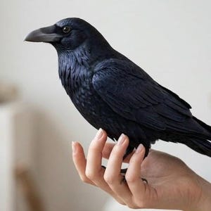 Peut inclure: Une figurine de corbeau noir réaliste avec un plumage détaillé, un bec pointu et des yeux sombres. L'oiseau est conçu avec une texture lisse et une coloration noire profonde, capturant les traits anatomiques d'un corbeau dans une pose fixe.
