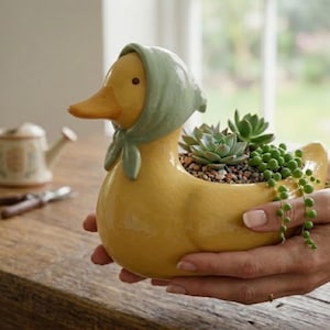 May include: A yellow ceramic duck planter featuring a light green headscarf tied under the chin. The duck has a smooth, glossy finish and contains a variety of small green succulents planted in soil topped with small, multi-colored decorative pebbles.