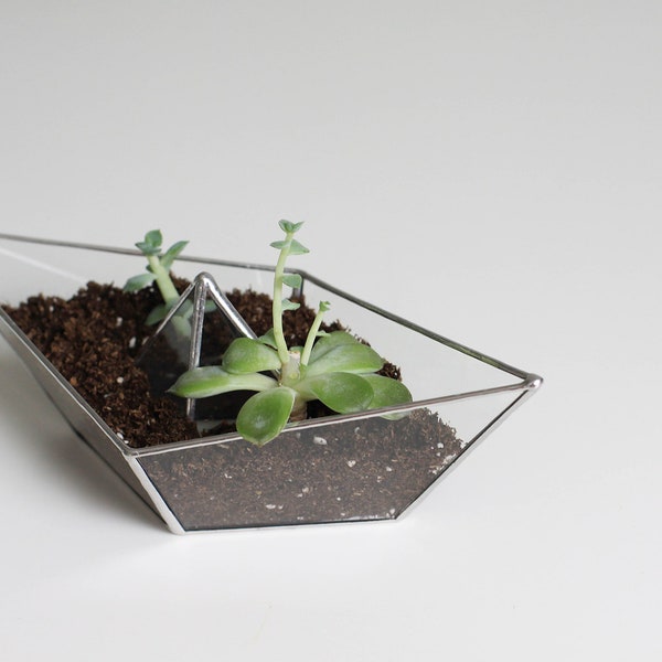 Paper boat . geometric succulent pot. glass terrarium planter for plant lady