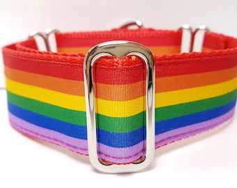 Puede incluir: Un collar de perro rojo con un patrón de arcoíris y una hebilla plateada.