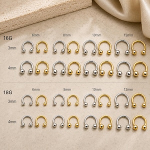 Può includere: Una collezione di anelli per piercing a ferro di cavallo in tonalità argento e oro, organizzati per calibri 16G e 18G, con diametri di 6mm, 8mm, 10mm e 12mm, e dimensioni delle sfere di 3mm e 4mm, il tutto etichettato su una superficie neutra.