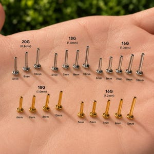 May include: A collection of silver and gold-toned metal labret posts in various gauges and lengths. The silver posts are labeled 20G (0.8mm), 18G (1.0mm), and 16G (1.2mm). The gold posts are labeled 18G (1.0mm) and 16G (1.2mm) with lengths from 5mm to 10mm.