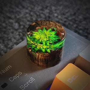 May include: A cylindrical resin keycap featuring a miniature green plant encased within a clear, dark brown base. The keycap is positioned on a gray keyboard surface near a yellow key labeled DEL, with visible text reading Num, Caps, and Scroll.