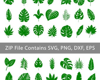 Tropical leaves svg, monstera leaf svg clipart, jungle leaves clipart,  palm branch svg, tropical party decor (Digital Download)