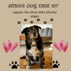May include: A senior dog care kit featuring a photograph of a black and white dog with a collar and tag. The text reads SENIOR DOG CARE KIT, CARING FOR YOUR DOGS GOLDEN YEARS, and Paws & Whiskers. The design includes black paw prints and pink hearts.