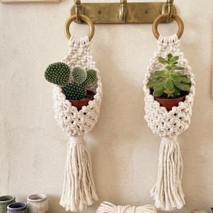 May include: Two off-white macrame plant hangers with wooden rings, each holding a small potted plant, suspended from a brass wall hook rack. The text LUNA & LACE MAKERS is visible in the top left corner. A coil of cotton rope sits below the hangers.