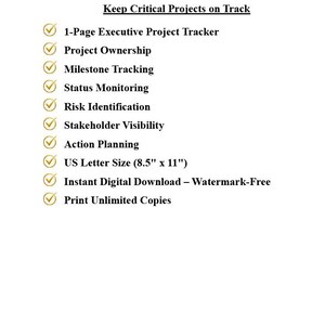 K&ouml;nnte beinhalten: Ein digitales Dokument mit dem Titel FEATURES & BENEFITS, das Projektmanagement-Tools auflistet, darunter einen einseitigen Executive-Projekt-Tracker, Meilenstein-Tracking, Risikoidentifizierung und Aktionsplanung. Format 21,59 cm x 27,94 cm.