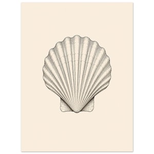 Peut inclure: Une illustration au trait détaillée d'une coquille Saint-Jacques unique centrée sur un fond de couleur crème unie. La coquille présente des crêtes rayonnantes symétriques et des ombres pointillées fines, tracées à l'encre sombre sur le fond clair.