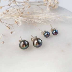 Pearl Studs - Peacock purple with Sterling Silver fittings. June Birthstone for bridal and everyday occasions. Traditional freshwater pearls