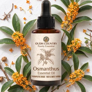 Könnte beinhalten: Eine braune Glasflasche mit schwarzem Tropfverschluss, die Osmanthus ätherisches Öl enthält. Das Etikett zeigt den Text OUDH COUNTRY Purely Essential, eine botanische Illustration von Osmanthusblüten sowie Therapeutic Grade - Rich & Sweet Aroma.
