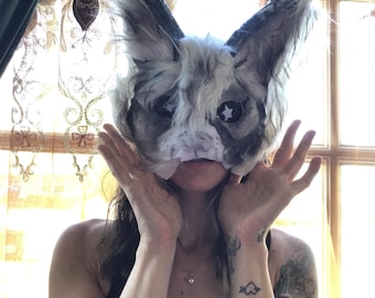 Gray star lynx mask