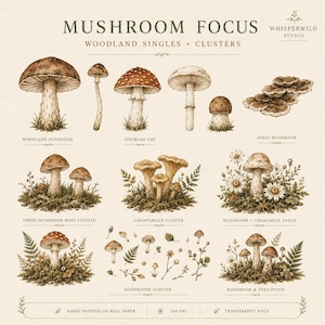 May include: A digital collection of botanical illustrations titled MUSHROOM FOCUS by Whisperwild Studio. The set features various hand-painted mushrooms, including woodland, speckled cap, and shelf varieties, alongside mossy clusters, fern patches, and chamomile.