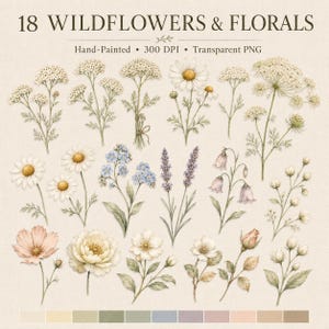 May include: A digital collection of 18 hand-painted wildflower and floral illustrations labeled 18 WILDFLOWERS & FLORALS, Hand-Painted, 300 DPI, Transparent PNG. The set includes various white, blue, purple, and pink botanical elements.