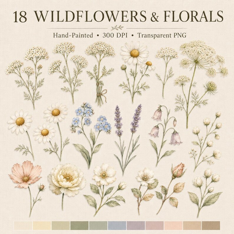 May include: A digital collection of 18 hand-painted wildflower and floral illustrations labeled 18 WILDFLOWERS & FLORALS, Hand-Painted, 300 DPI, Transparent PNG. The set includes various white, blue, purple, and pink botanical elements.