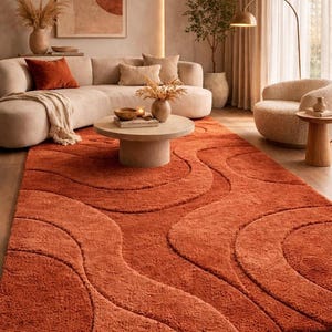 May include: A rectangular area rug in a deep terracotta orange color featuring a high-pile texture and a repeating pattern of large, curved, wave-like lines that create a dimensional effect across the entire surface of the floor covering.