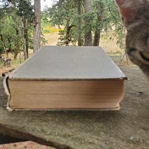 Antique GONE WITH The WIND,  Margaret Mitchell Book 1936 First Edition Antiquarian Classic Literature