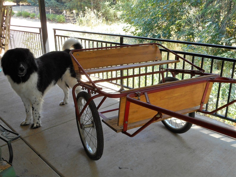 Rare Equestrian Jockey Shetland Pony Horse Cart Dog Pull Wagon Etsy