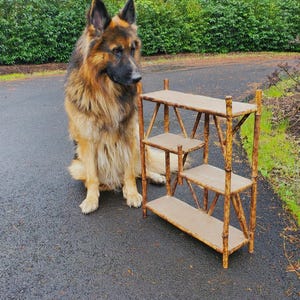 Antique 1880s American Aesthetic Chinoiserie Bamboo Shelf Wood Cupboard Display Shelves, Victorian French Country Etagere Desk Top Organizer
