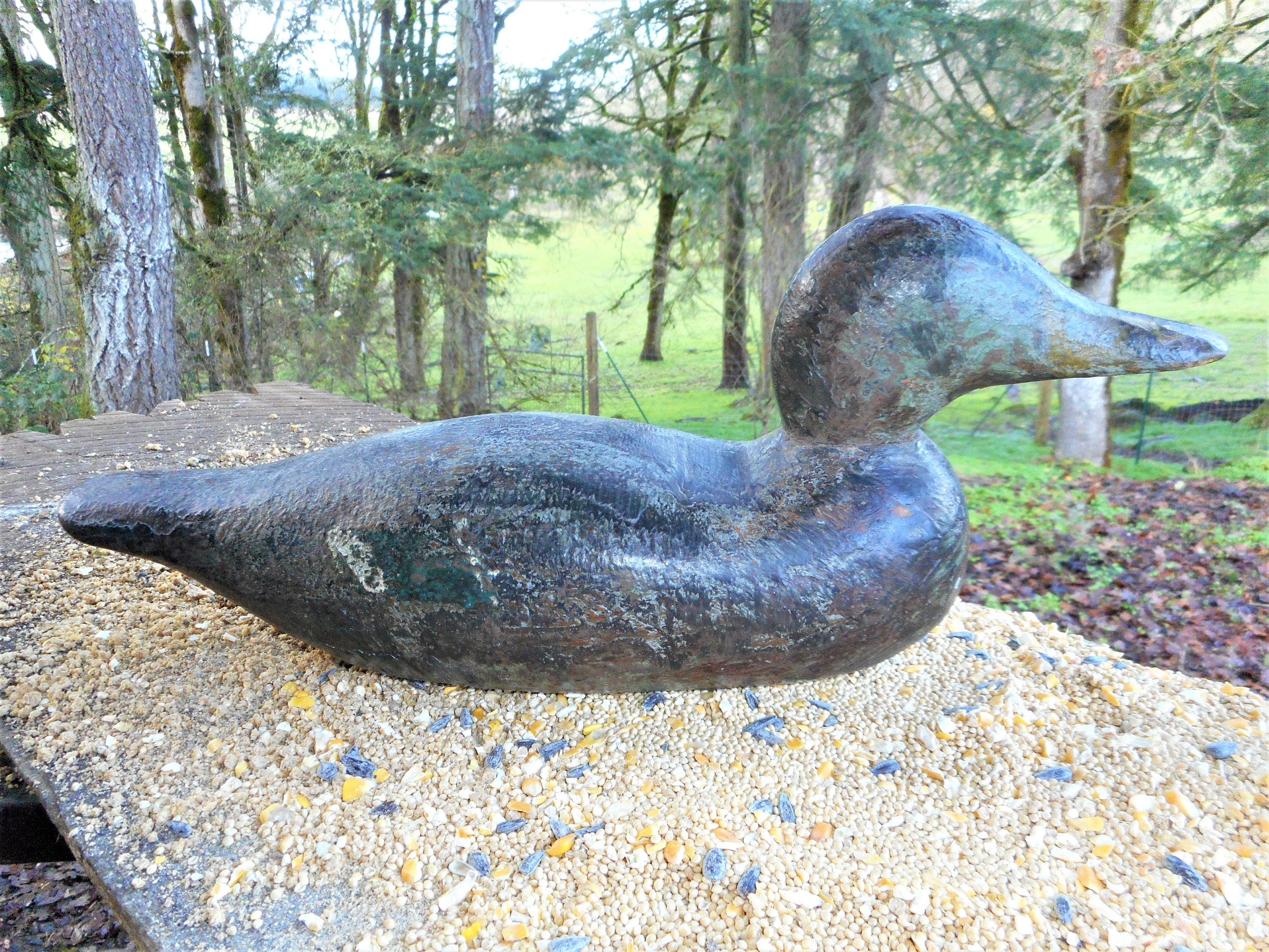 Antique 19th Century Unique Folk Art Carved Wood Duck Decoy Painted ...