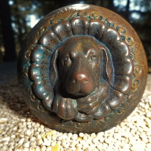 May include: A bronze door knocker with a detailed design of a dog's head with a textured, aged finish.
