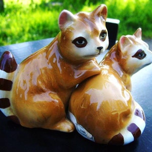 Norcrest Racoon Huggers Kitsch MCM Porcelain Salt Pepper Shakers image 1
