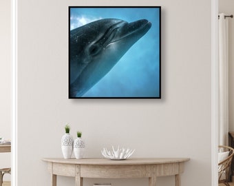 Dolphin wall art, dolphin print, ocean wall art, coastal decor, nautical wall art, nautical art, ocean print, marine life photography