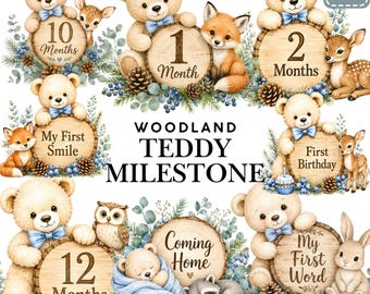 Woodland Teddy Bear Milestone PNG Clipart Bundle, Baby Boy Animals (20 Files)