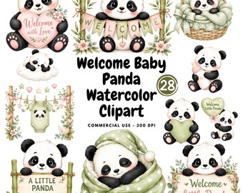 Baby Panda Watercolor Clipart Bundle, Panda Shower PNG, Nursery Decor (Digital Download)