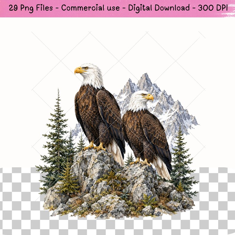 American bald eagle clipart collection with realistic eagle portraits, soaring birds, woodland scenes, nests, pine trees and rocky mountains. High-resolution wildlife PNG graphics for patriotic crafts, nature shirts, printable artwork, decals, mugs, invitations and sublimation projects.