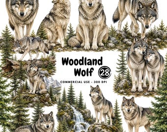 28 png Woodland Wolf Clipart Bundle, Realistic Forest Animal Illustrations (Commercial Use)