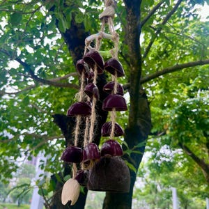 Personalized Natural Nut Shell Wind Chime|Forest Stream Sound Healing Chime|Custom Name Gift